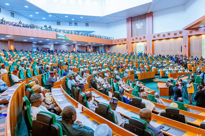 Bill To Stop Nigerians Above 60 From Running for Presidential, Gubernatorial Races Scales through to Second Reading